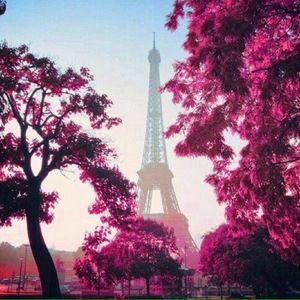 Meet your Posher, Jahmee